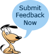 Submit Feedback Now
