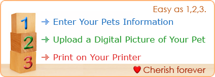 Printable Pet Adoption Certificate Pdf
