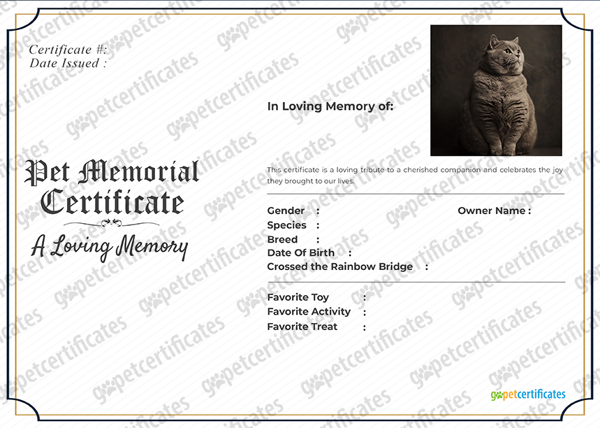 Go Pet Certificates